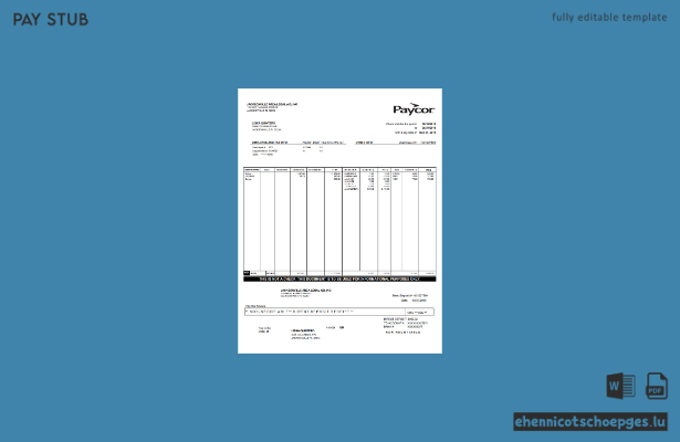 Paycor-Gehaltsabrechnungsbeispiel (Vorschau)